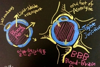 [BioS] 파킨슨병 치료제와 치명적 부작용, 그리고 신약들