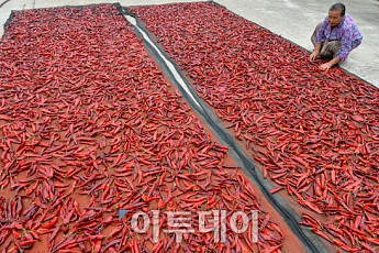 [놓치면 안되는 오늘 아침뉴스] 8월 23일