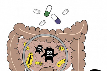 [약 되는 이야기] 이로운 미생물 프로바이오틱스