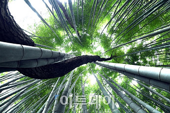 [포토] 正道를 지키며 세상과 어우러져