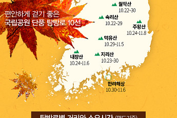 [카드뉴스] 국립공원 단풍 탐방로 10선 
