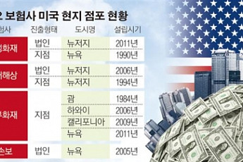 손보사 미국법인, 줄줄이 적자 ‘미운오리’ 신세