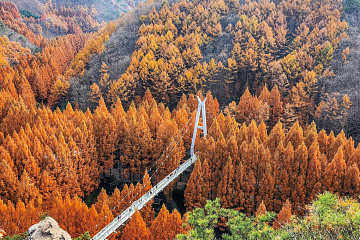 크고 넓은 한밭, 숲을 걸으며 위로받다