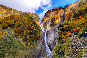 아직 늦지 않은 일본 가을 단풍여행