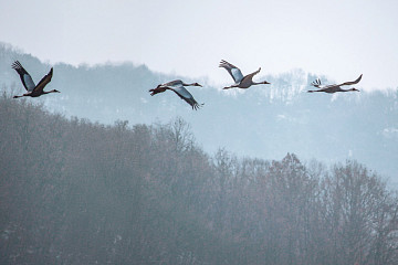 봄을 기다리며 연천 속으로