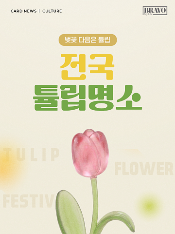 [카드뉴스] 지금이 절정, 전국 튤립 인생샷 스팟 5
