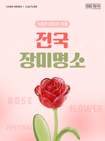 [카드뉴스] 가족 나들이 실패 없는 '전국 장미 축제' 6
