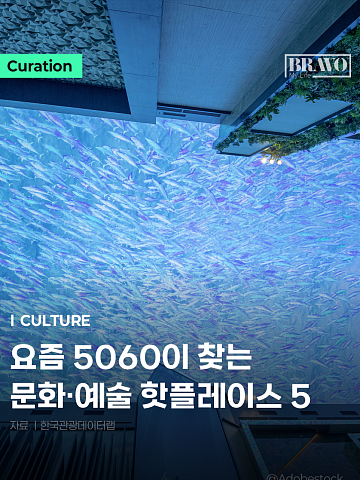 [Trend&Bravo] 등산 줄고 미술관 늘었다, 5060 문화 핫플 5