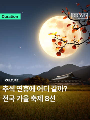 "가을꽃에 대하까지" 추석 연휴 가볼 만한 전국 축제 8곳