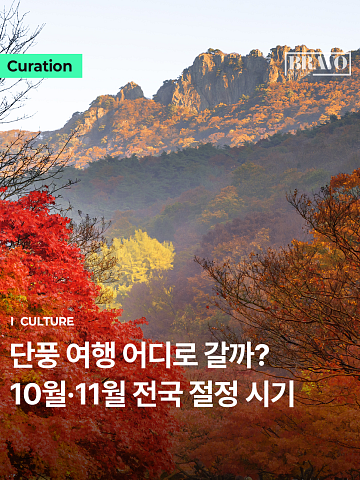 "시니어 나들이" 10·11월 전국 단풍 절정 시기 정리