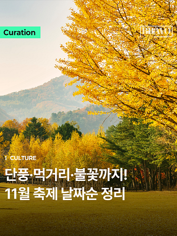 "늦가을 여행 어디로?" 11월 전국 축제 날짜순 정리