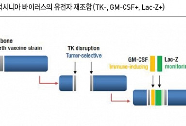 신라젠의 新 항암바이러스, JX-970은?