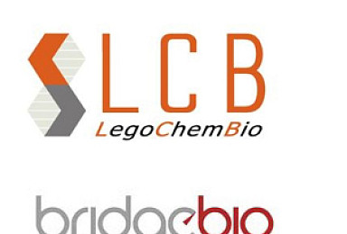 레고켐-브릿지바이오, 혁신신약물질 '300억' 기술이전 계약
