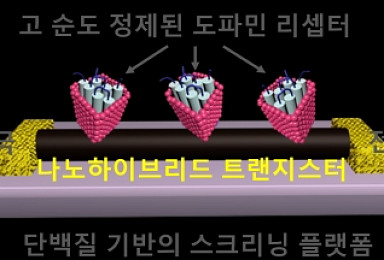 '세포기반 신약 스크리닝 대체' 바이오 전자센서 개발