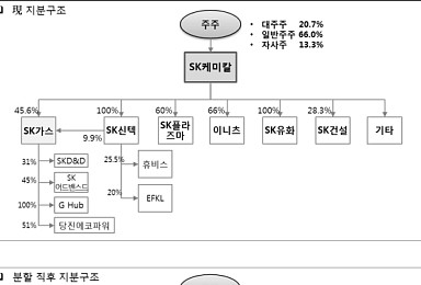 SK케미칼, 지주회사체제 전환..