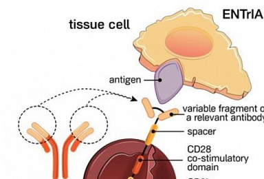 상가모, 프랑스 TxCell 인수..차세대 CAR-Treg 진출