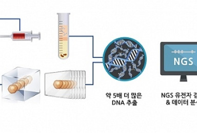 신테카바이오, DNA추출 핵심특허 확보..