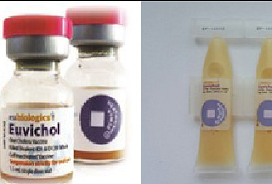 유바이오로직스, 상반기 매출 203%↑..‘콜레라백신 57억’