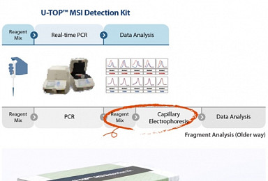 시선바이오, MSI키트 CE인증..면역항암제 마커시장 타깃