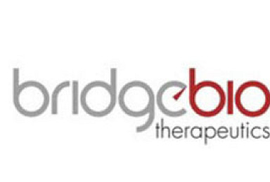 브릿지바이오, 궤양성대장염 신약물질 美임상 허가신청