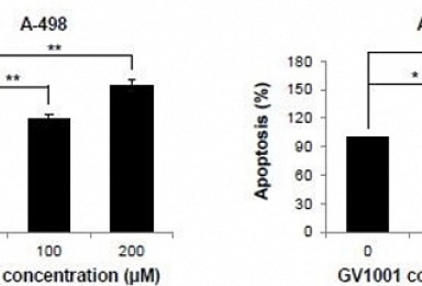 젬백스 'GV1001', 신장암에서 종양억제 효과 