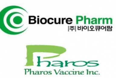 바이오큐어팜, 클립스와 'CAR-T' 임상 CRO 계약