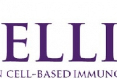 셀리드 BVAC-B 임상1상 승인..위암 대상 면역치료백신