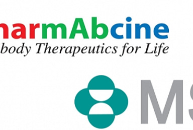 파멥신-MSD, VEGFR2 항체+키트루다 병용투여임상 협력