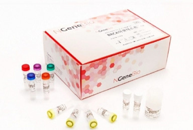 '식약처 허가·일루미나 계약' 엔젠바이오 3가지 변화