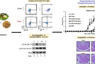바이로메드 천연물신약 '레일라', 