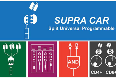 '2세대 CAR-T' SUPRA CAR 플랫폼 '3가지 차별성'