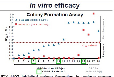 비임상 통해 본 일동제약 'PARP1 저해제'의 가능성