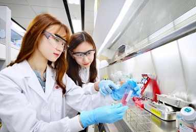 LG화학, 일본 최초 엔브렐 바이오시밀러 출시