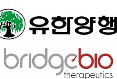 유한양행-브릿지바이오, 면역항암제 후보물질 공동개발