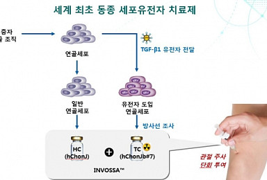 코오롱티슈진, 인보사 국내 특허권 존속기간 5년 연장