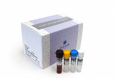 시선바이오, '헬리코박터균 검출·항생제 내성 동시진단 키트' 허가