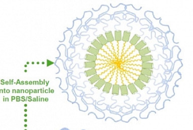 바이오니아, 美  Coare와 RNAi 췌장암 신약 공동연구
