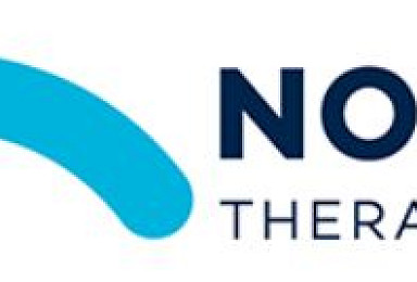 프리미어 투자 Nohla, '제대혈 조혈모세포' 치료제 잠재력