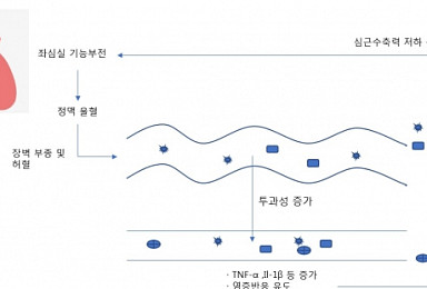 마이크로바이옴, 소화관→면역·신경→심혈관계까지 확장