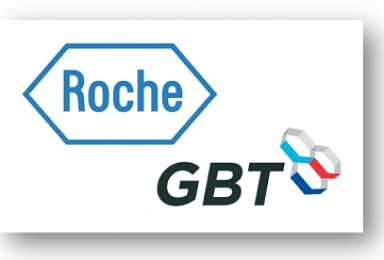 GBT, 로슈 신약후보물질 ‘인클라쿠맙’ 인수