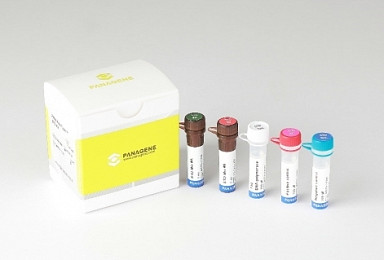 파나진, STD 진단키트 허가..감염진단 시장 진출