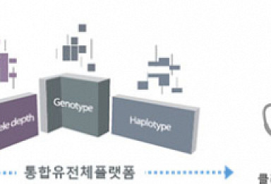 신테카바이오, 통합유전체 분석 병렬분석기술 공개