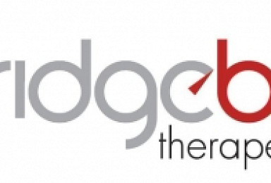 브릿지바이오 