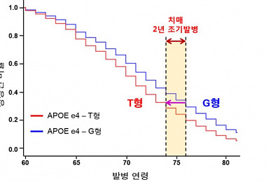 인포메디텍, 알츠하이머 '新ApoE 검사' 상반기 출시