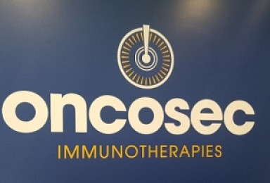 온코섹, 흑색종 병용 2b상 중간결과 'ORR 24%'