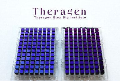테라젠이텍스, '맞춤형 유전체 분석 칩’ 상용화