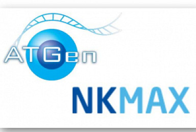 엔케이맥스, NK세포 항암치료제 