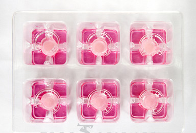 테고사이언스, 삼차원 배양피부모델 '네오덤' 美 특허