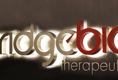 브릿지바이오, '브릿지바이오테라퓨틱스'로 사명변경