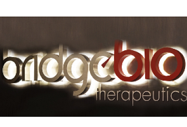 브릿지바이오, 310억 투자유치..